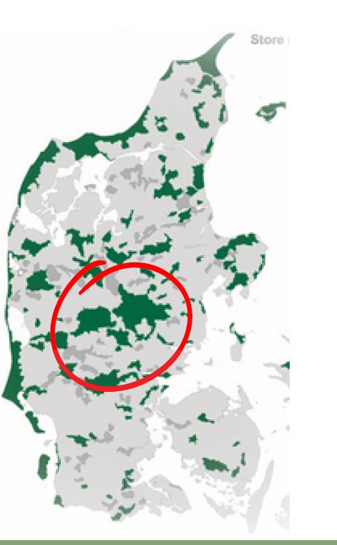 Det grønne hjerte